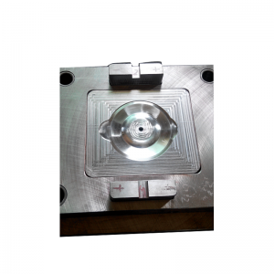 Juicer accessories mold